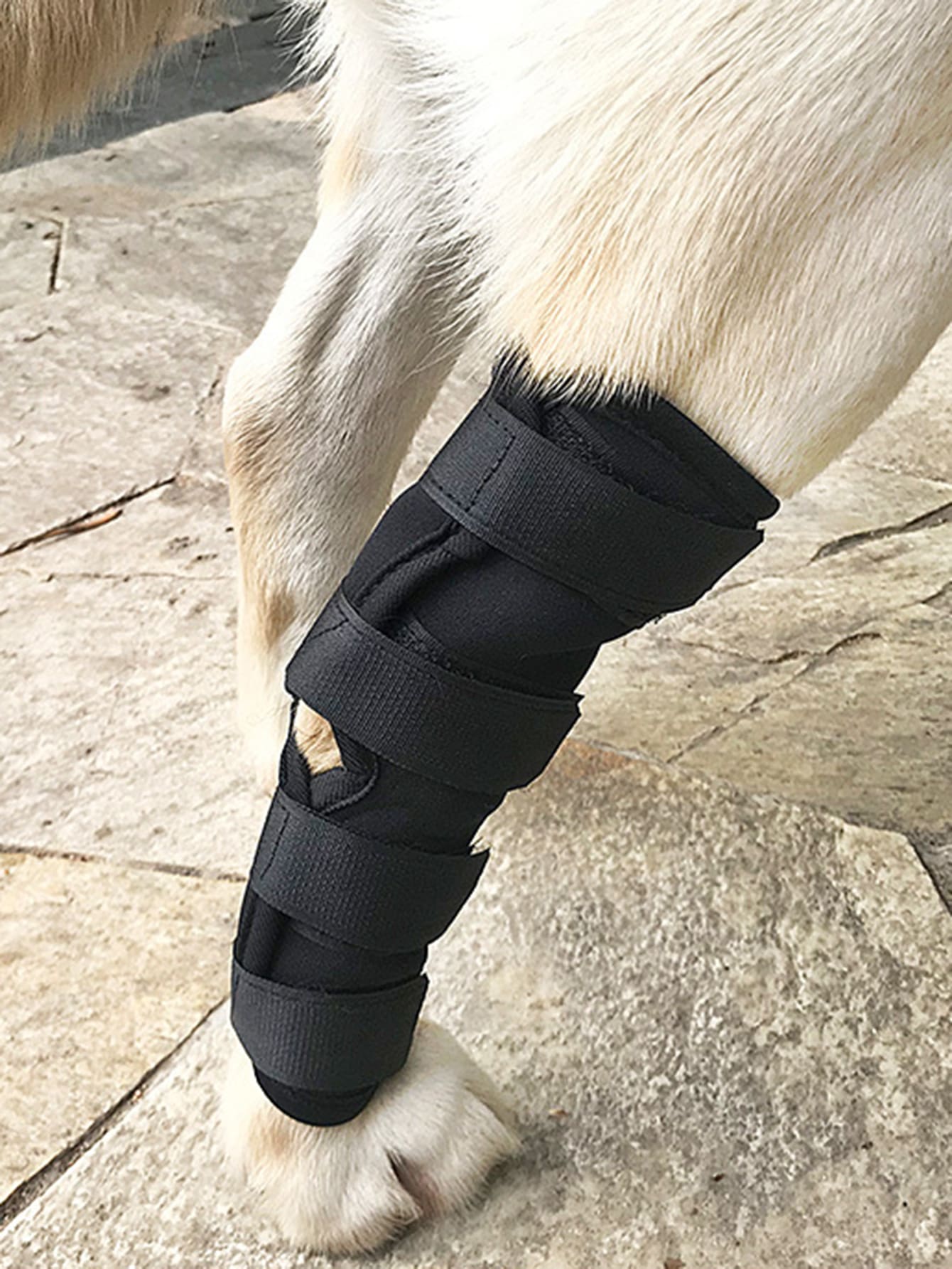 1pc Pet Anti-licking Recovery Strap - Black - View 1