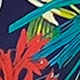 Multicolor
