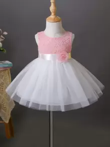 SHEIN Glamorique Kids 嬰兒女寶寶花邊刺繡網紗套領派對禮服 - 彩色 - 查看 1