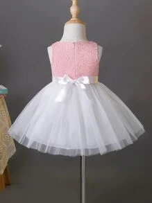 SHEIN Glamorique Kids 嬰兒女寶寶花邊刺繡網紗套領派對禮服 - 彩色 - 查看 2