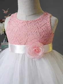 SHEIN Glamorique Kids 嬰兒女寶寶花邊刺繡網紗套領派對禮服 - 彩色 - 查看 3