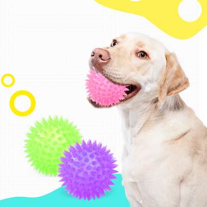 迷你彩色 Tpr 尖刺球，适合猫/狗爱好者的礼物和狗/猫妈妈爱宠物（颜色随机）