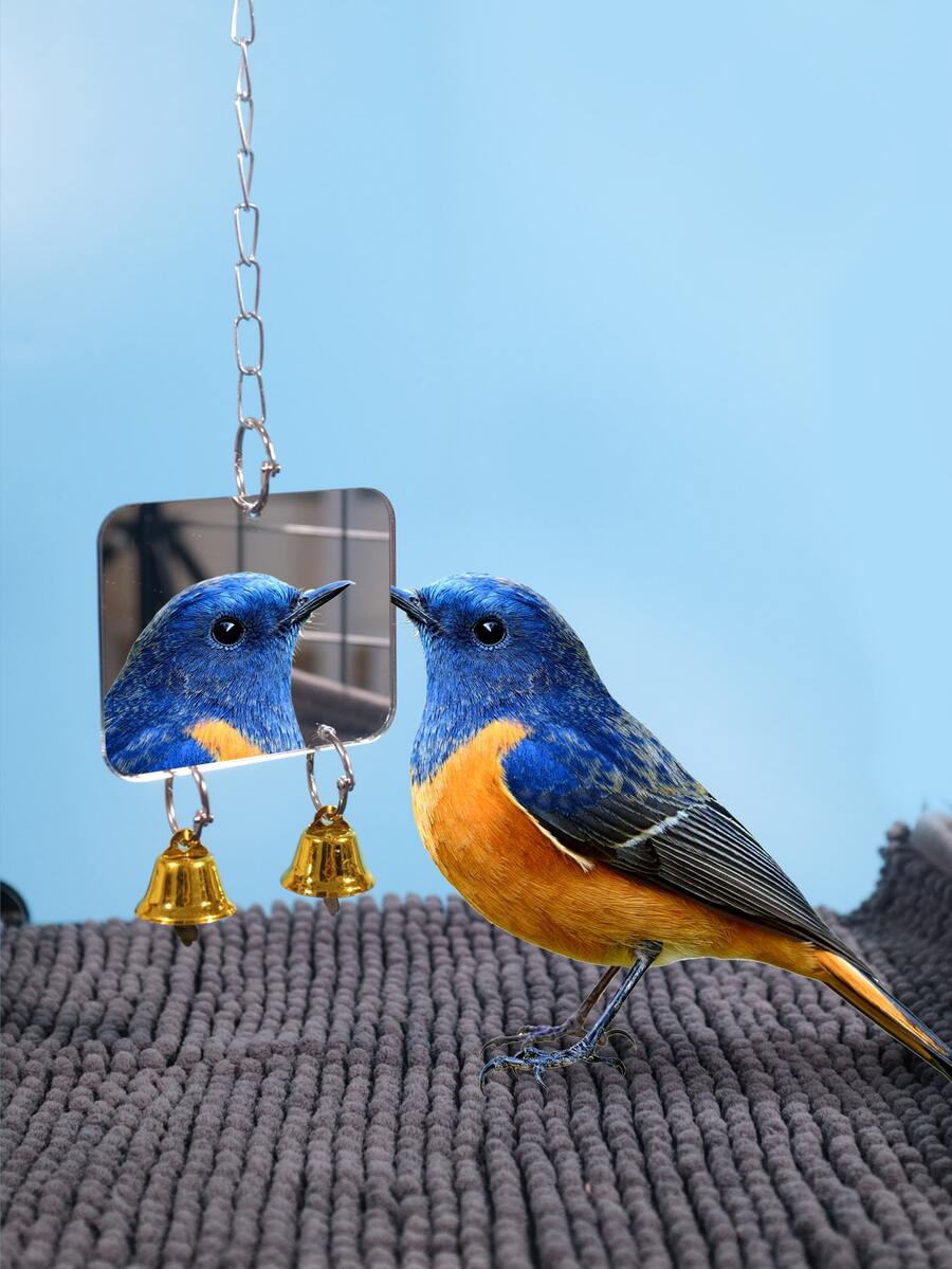 1pc Bell Decor Hanging Random Parrot Mirror Toy, Parrot Bell Toy Pet Bird Mirror Toy Swing Bird Cage Toys Heart-shaped Round Rectangle Optional With Bell In Random Color - Multicolor - View 1
