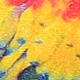 Nhiều màu