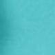 Cadet Blue