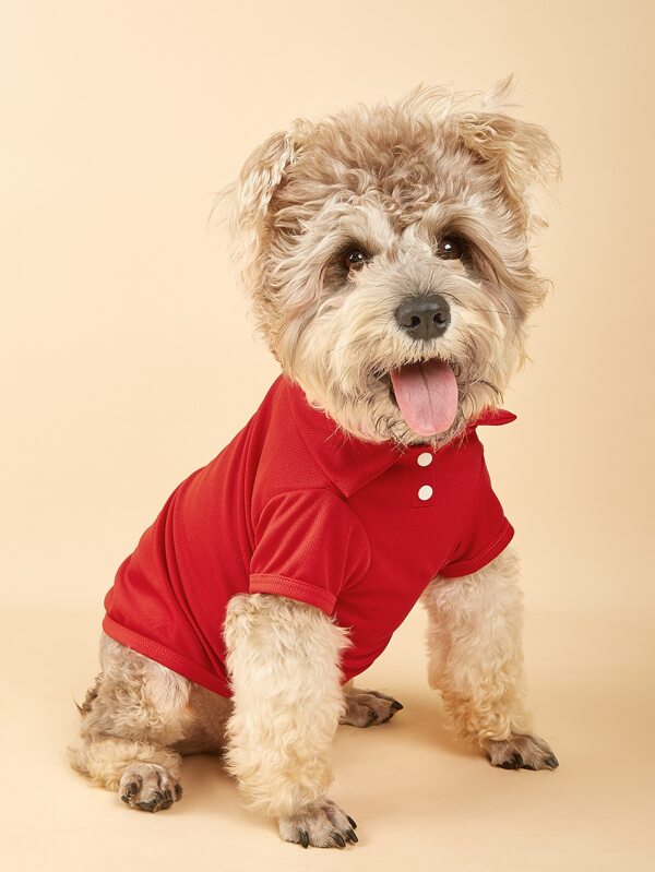 Camisa pólo sólida para animais de estimação