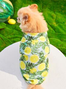 PETSIN Camisas para Mascotas Tropical Frutas y verduras