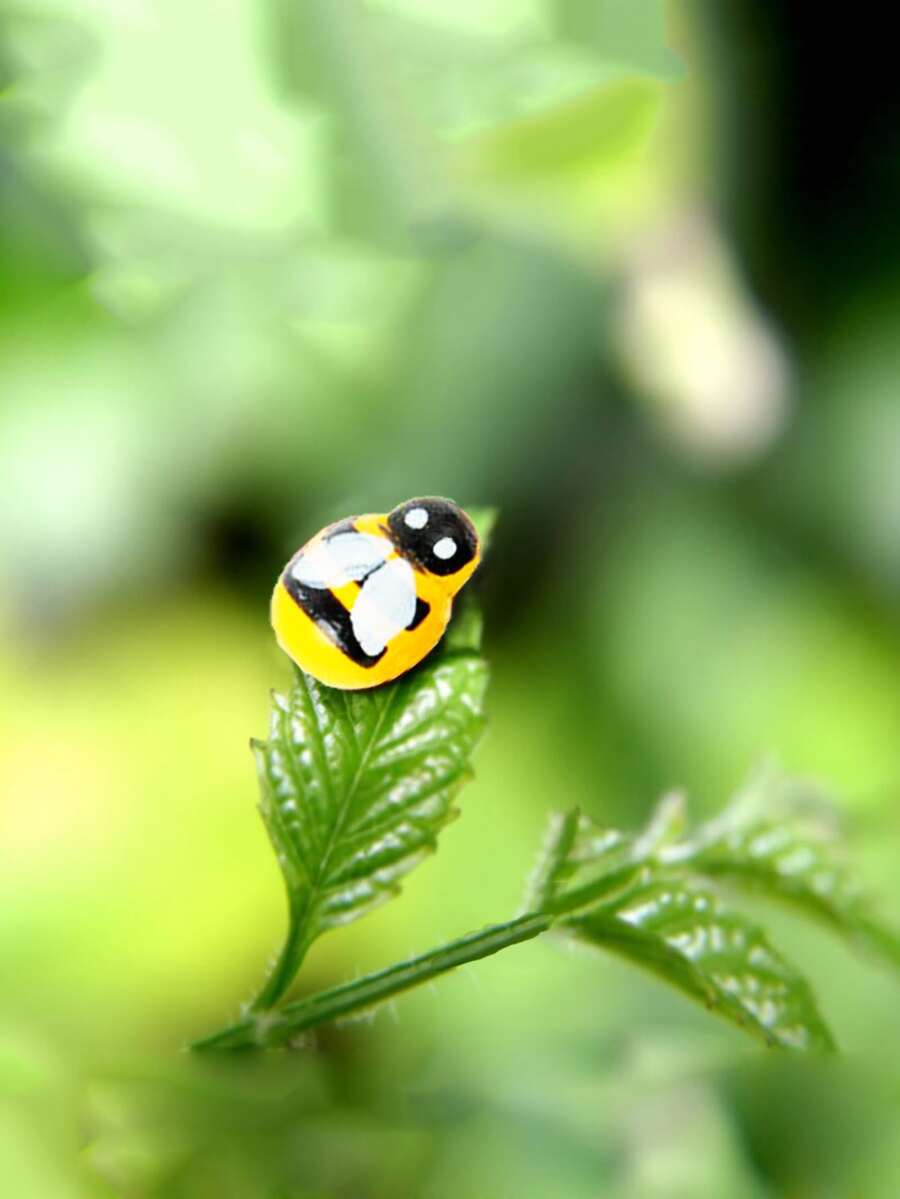 20 piezas Objeto decorativo en forma de abeja - Multicolor - Ver 1