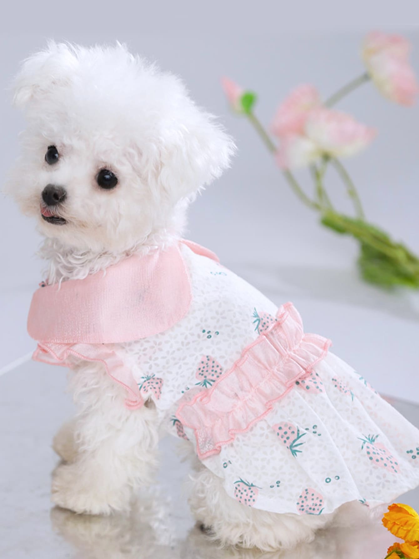 Strawberry Print Pet Dress - Multicolor - View 1