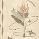 彩色