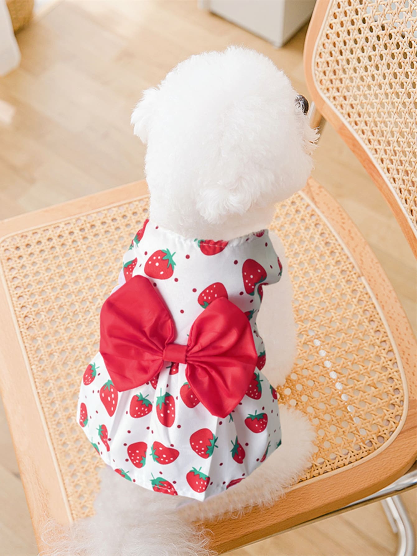 Bow Decor Strawberry Print Pet Dress - Multicolor - View 1