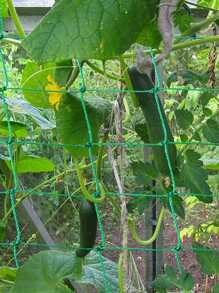 Polyester Pergola For Climbing Plants, Reusable DIY Net For Planting, Garden Supplies, Plant Support Structures - Green - View 3