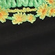 màu đen