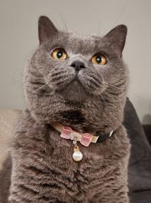 1入組蝴蝶結裝飾寵物項圈 - 彩色 - 查看 2