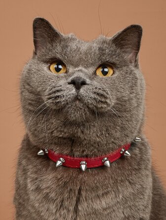 Nitbesatt läderhalsband för husdjur, anti-bett-tillbehör för husdjur