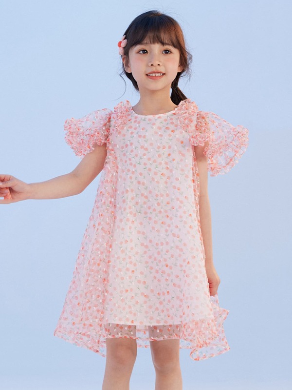 Toddler Girls Ditsy Floral Print Butterfly Sleeve Organza Dress
