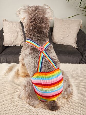 1入組彩虹條紋印花寵物衛生褲