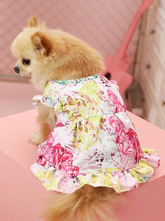Butterfly Print Pet Dress