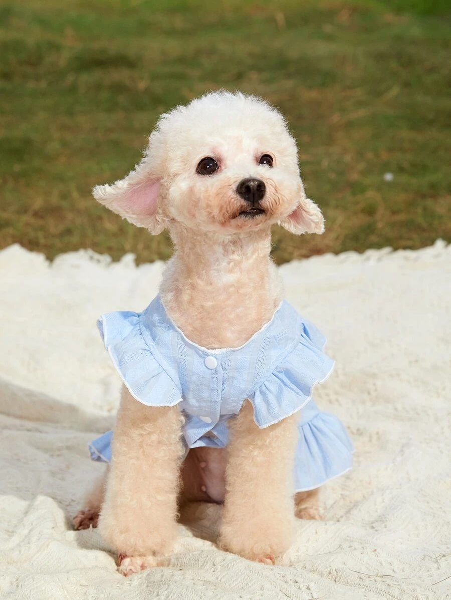1 pieza Vestido de mascota unido en contraste para perro y gato para verano - Celeste - Ver 1