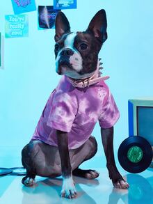 PETSIN 紮染蝴蝶圖案寵物T恤衫 - 彩色 - 查看 7