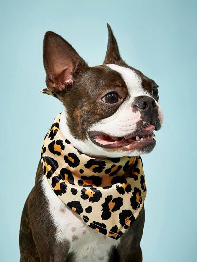 PETSIN 1pc Leopard Print Pet Bandana