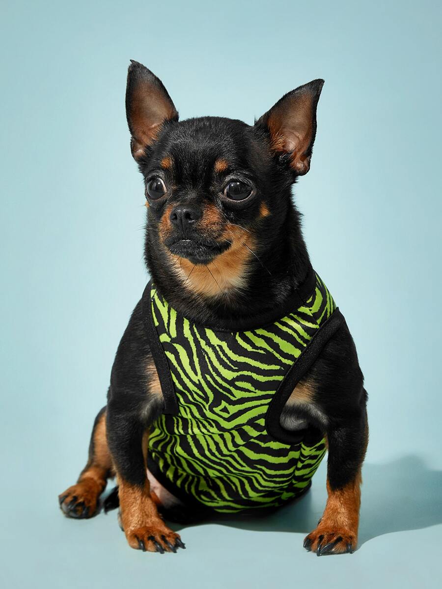 PETSIN 1pc Zebra Striped Print Pet Tank - Multicolor - View 1