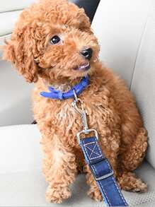 1pc màu ngẫu nhiên dây đai an toàn cho xe hơi - Nhiều màu - Xem 3