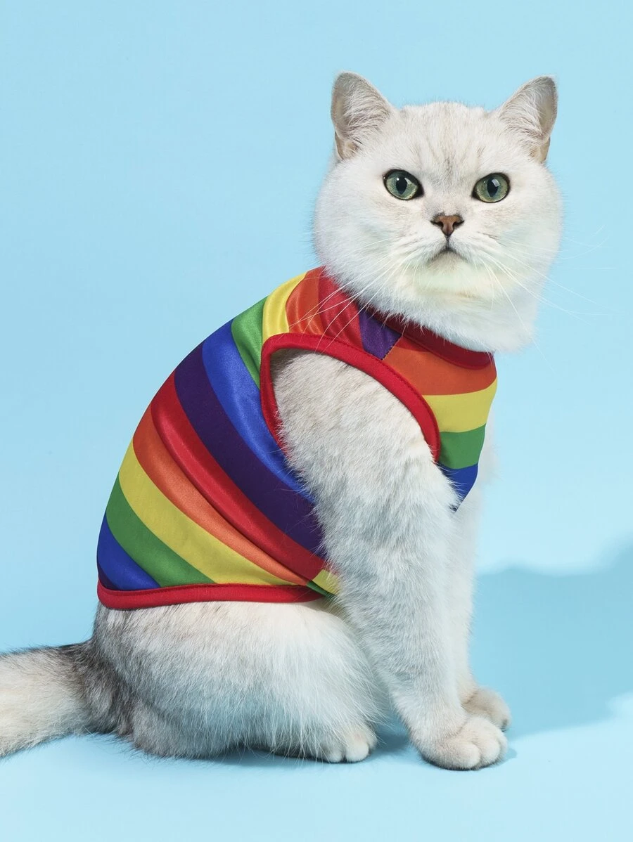 PETSIN 1pc Rainbow Striped Print Pet Tank