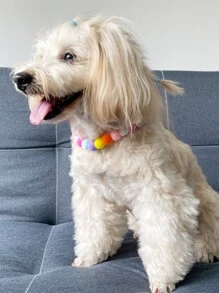 1 Vòng cổ thú cưng sang trọng Colorblock - Nhiều màu - Xem 5