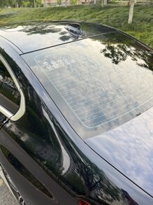 Pegatinas de dibujos animados en blanco y negro de cuatro niños paseando al perro - Blanco - Ver 4