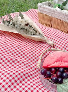 1 Pieza Mantel De Picnic Con Patrón De Cuadros