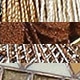 Nhiều màu