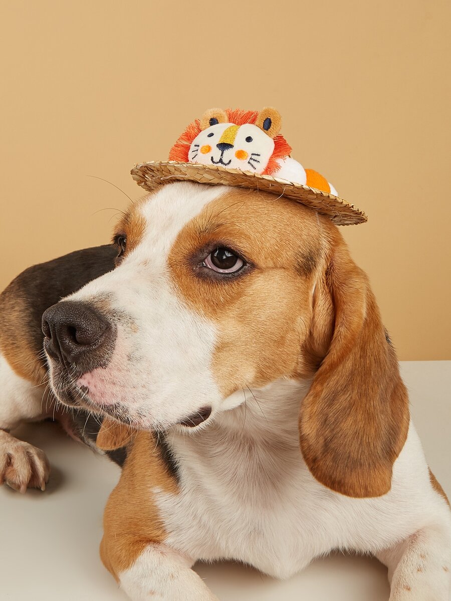 1 pieza Sombrero de mascota con diseño de león - Multicolor - Ver 1