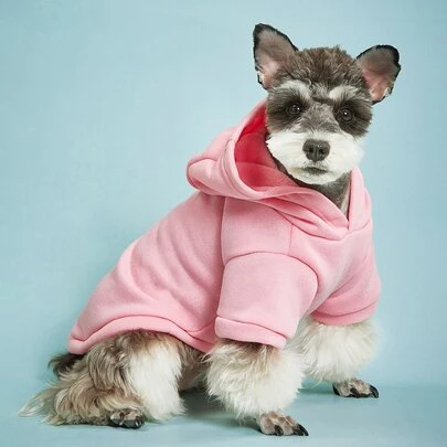 PETSIN 素色寵物連帽衫
