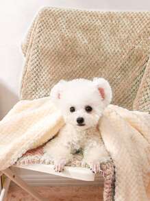 1 件纯色宠物毯 小狗专用狗床 猫床 易于清洁 - 米色 - 查看 2