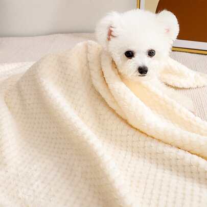 PETSIN 1 件纯色宠物毯 小狗专用狗床 猫床 易于清洁