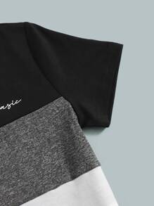 SHEIN Young Boy Colorblock Letter Graphic Tee & Shorts