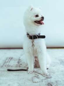 2 piezas remache Correa de mascota & cuello Conjunto - Negro - Ver 2