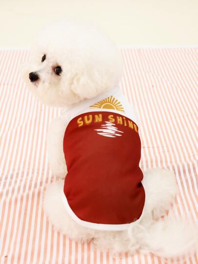 1入組字母圖案寵物背心