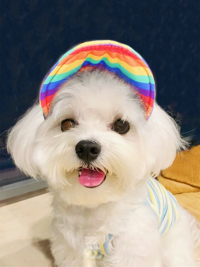 1pc Rainbow Striped Pet Baseball Cap