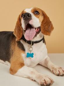 2 piezas Identificador para mascotas hueso - Azul - Ver 2