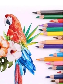 Bút chì màu 36 cái - Nhiều màu - Xem 3