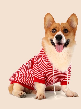 1 Pezzo Cappuccio A Righe Per Animali Domestici Cappotto Per Cani Abbigliamento Sportivo Morbido