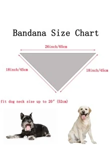 Letter Graphic Pet Birthday Bandana