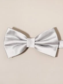 Men Solid Bow Tie - Light Grey - View 2