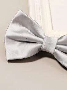 Men Solid Bow Tie - Light Grey - View 4