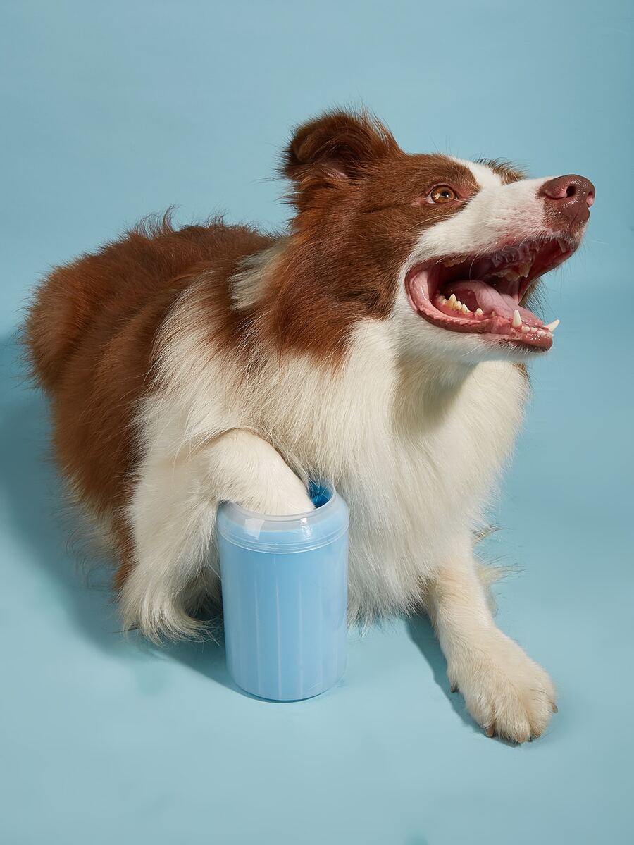 1pc Pet Foot Washing Cup - Blue - View 1