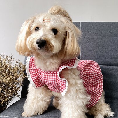 格紋印花寵物連衣裙