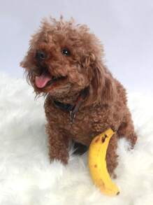 Banana Design Pet Sound Toy - Yellow - View 2