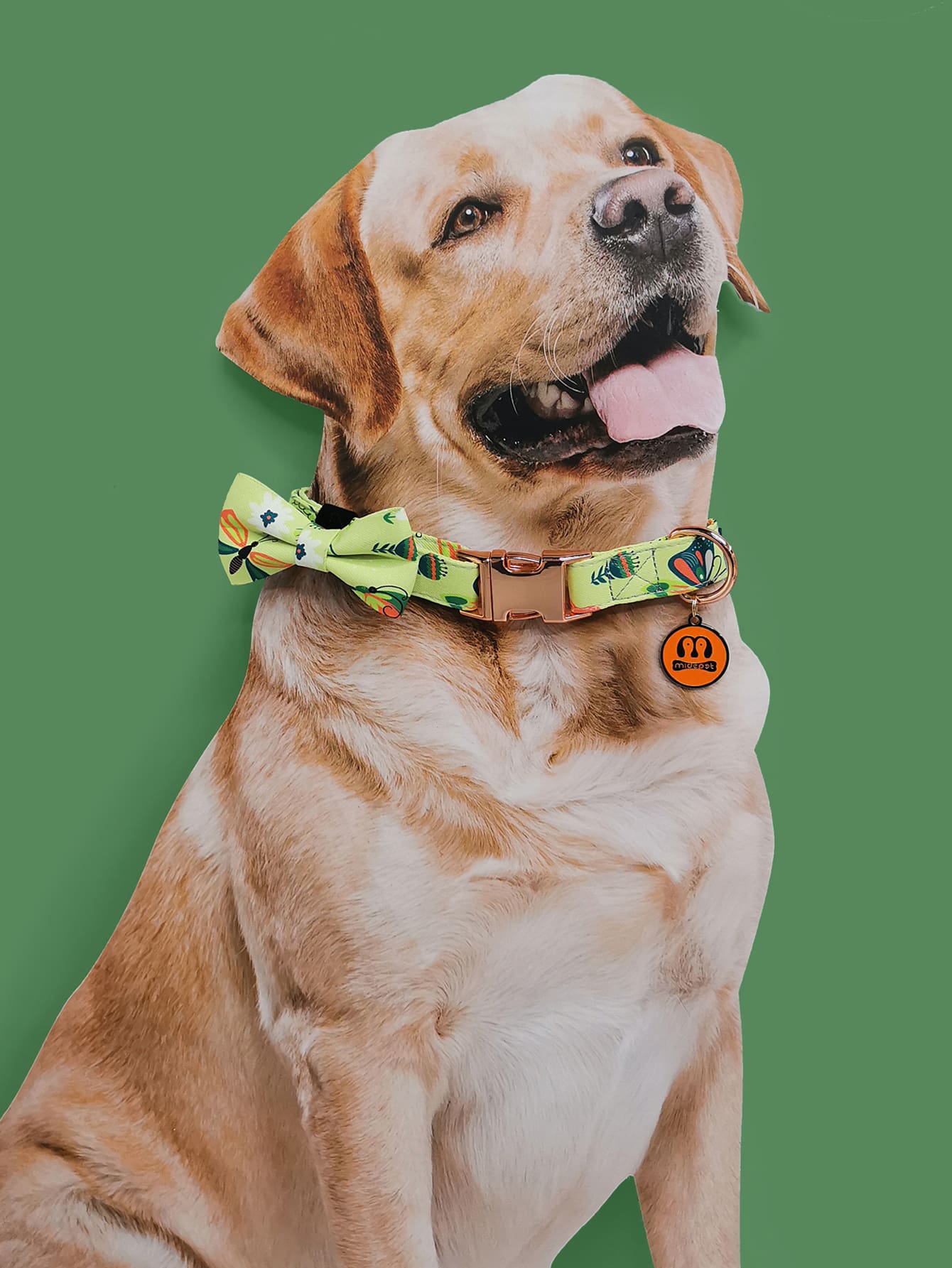 1pc Floral Pattern Bow Decor Pet Collar - Multicolor - View 1